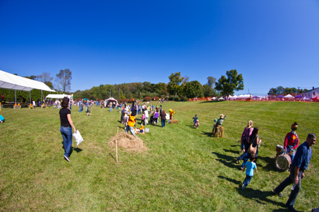 Enlarge photo 62