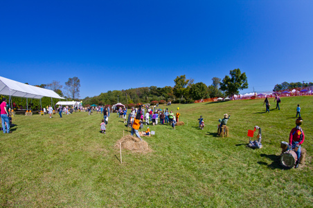 Enlarge photo 63