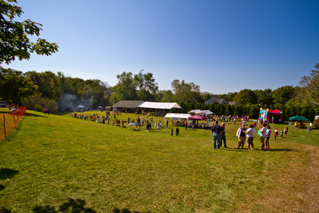Enlarge photo 372