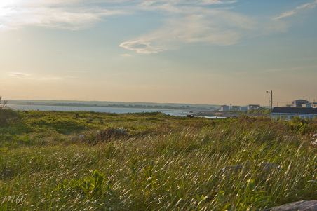 Enlarge photo 529