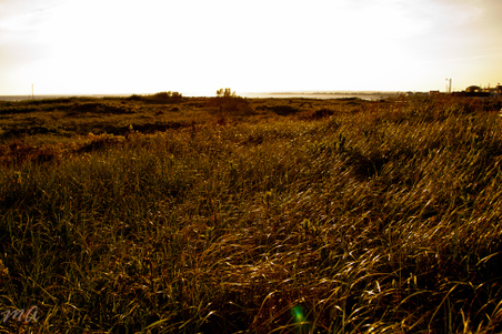 Enlarge photo 530