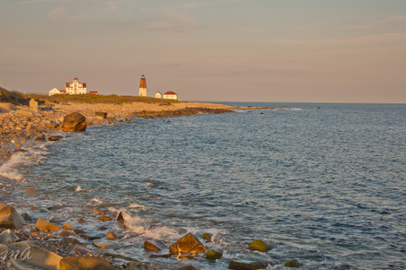 Enlarge photo 534