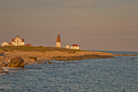 Enlarge photo 535