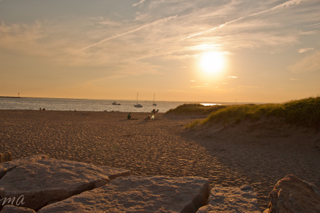 Enlarge photo 536