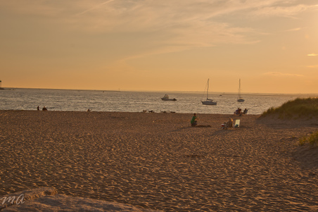 Enlarge photo 537