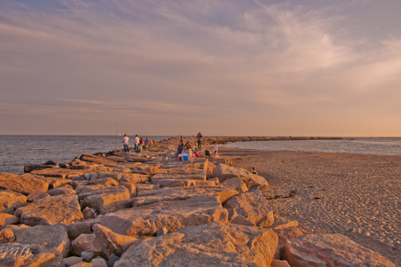 Enlarge photo 542