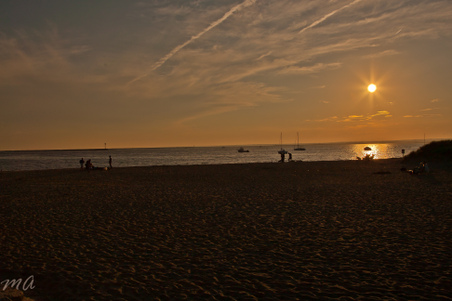 Enlarge photo 543