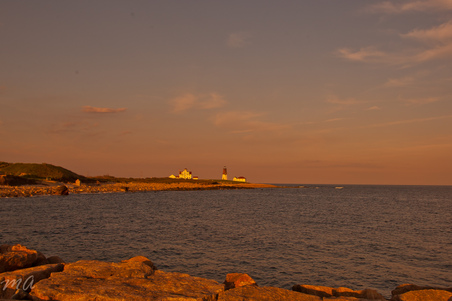 Enlarge photo 544