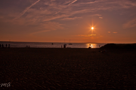Enlarge photo 545