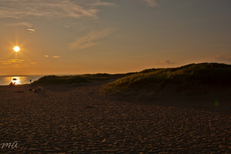 Enlarge photo 547