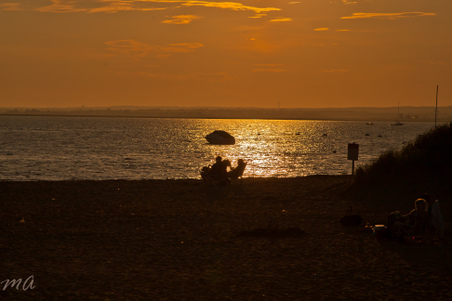 Enlarge photo 548
