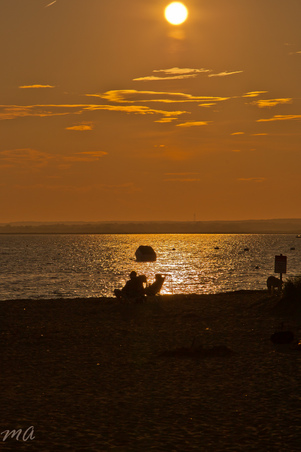 Enlarge photo 549