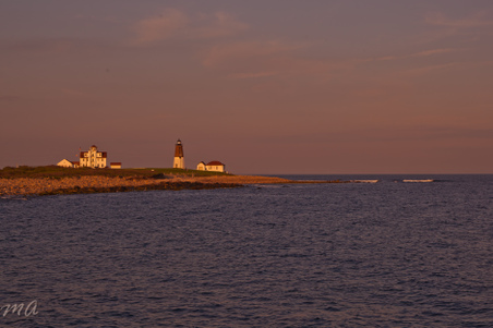 Enlarge photo 552