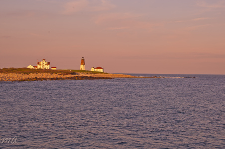 Enlarge photo 553