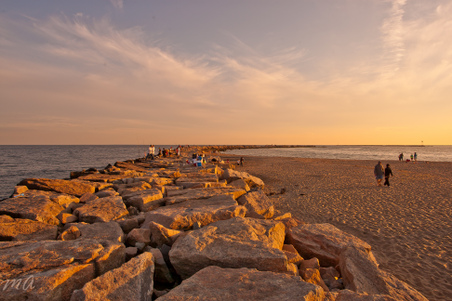 Enlarge photo 556
