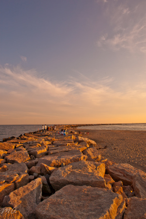 Enlarge photo 557