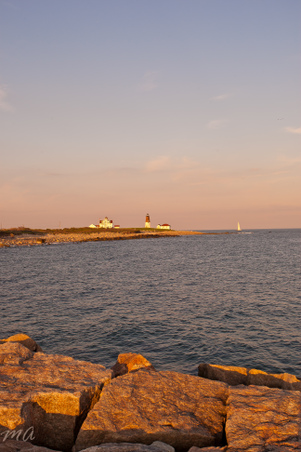 Enlarge photo 559