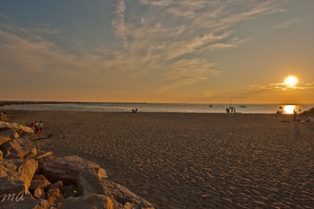 Enlarge photo 560