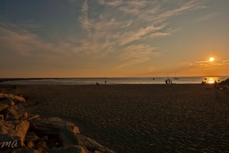 Enlarge photo 561
