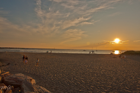 Enlarge photo 562