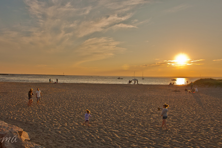 Enlarge photo 563