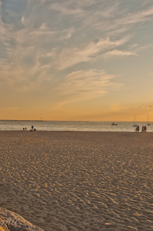Enlarge photo 564