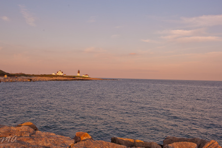 Enlarge photo 566