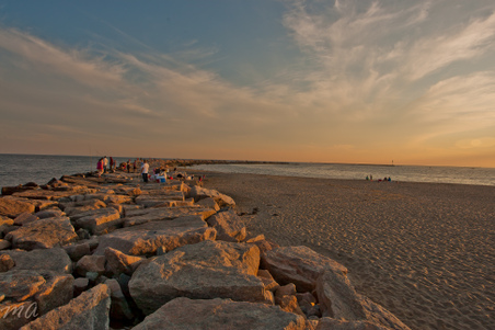 Enlarge photo 568