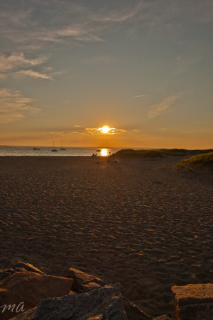 Enlarge photo 569
