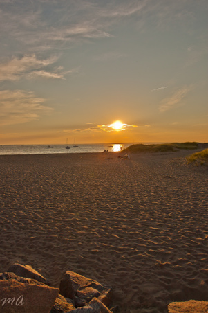 Enlarge photo 570
