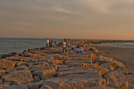 Enlarge photo 571