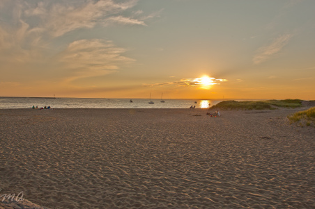 Enlarge photo 572