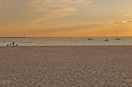 Enlarge photo 574