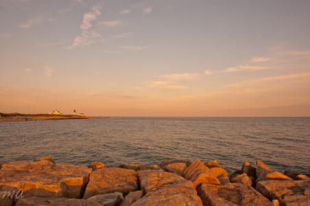 Enlarge photo 576