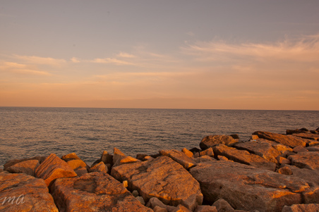 Enlarge photo 577
