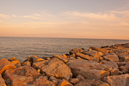 Enlarge photo 578