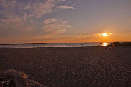Enlarge photo 579
