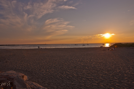 Enlarge photo 580
