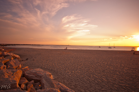 Enlarge photo 581
