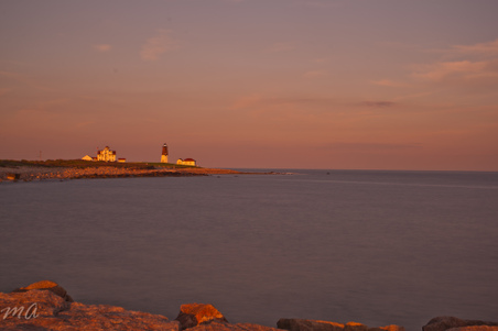 Enlarge photo 582