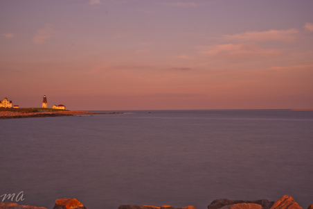 Enlarge photo 584