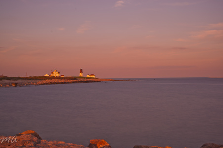 Enlarge photo 585
