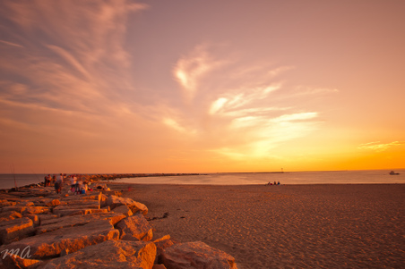 Enlarge photo 590