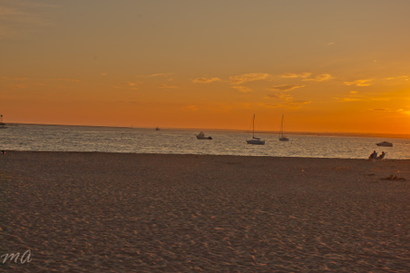 Enlarge photo 595