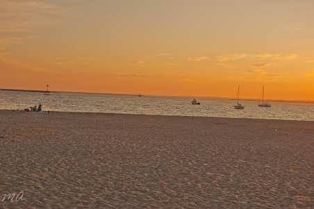 Enlarge photo 597