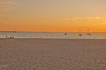 Enlarge photo 598