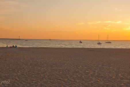 Enlarge photo 599