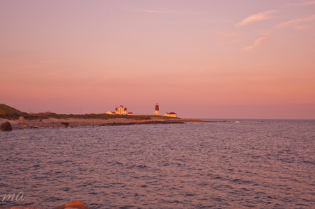 Enlarge photo 601