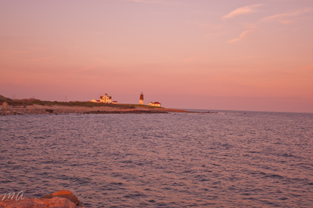 Enlarge photo 603