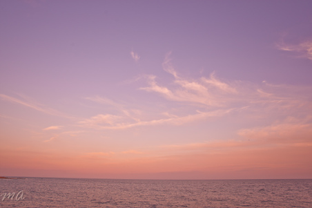 Enlarge photo 605